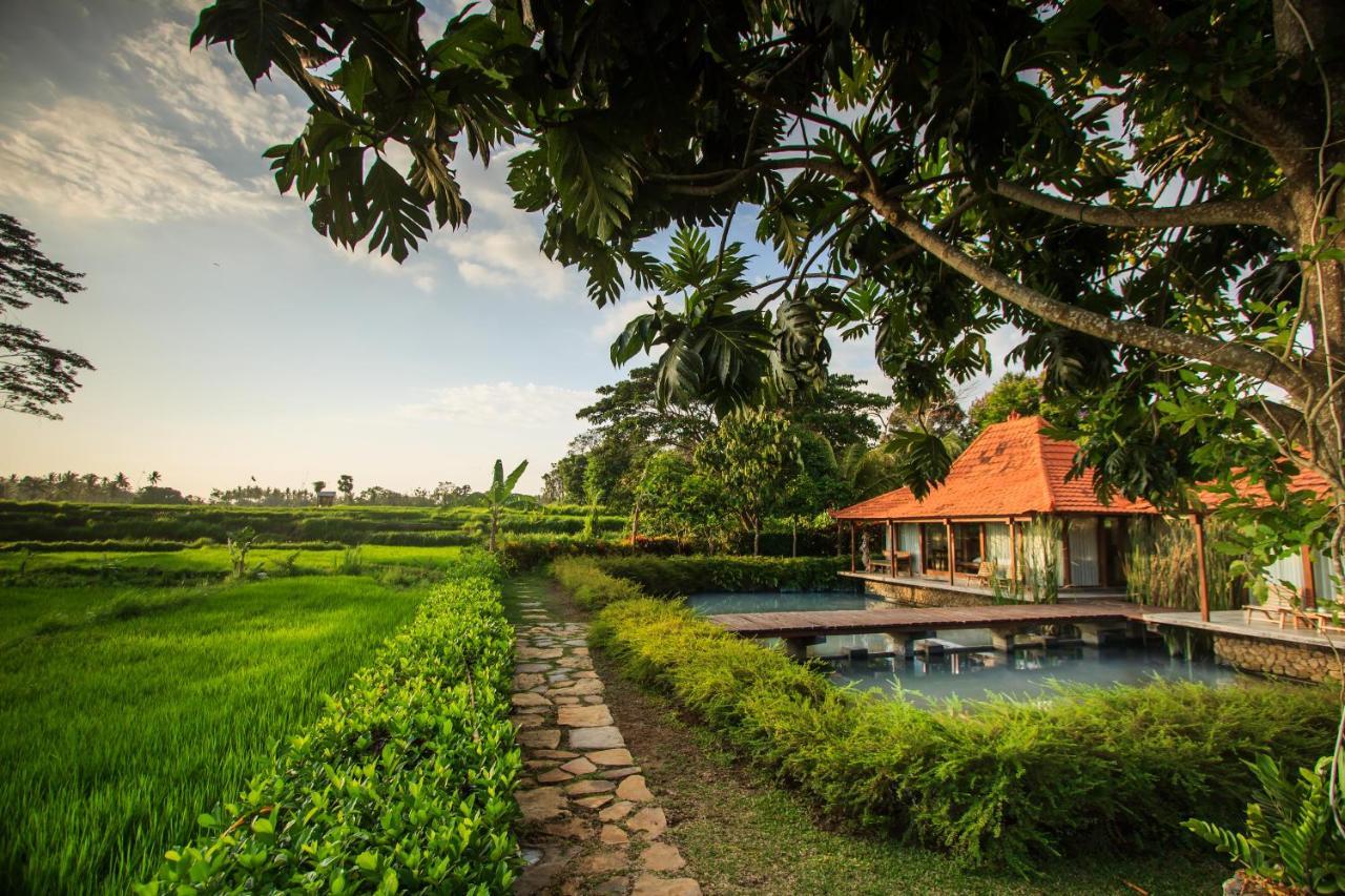 Griya Kcb Villa Ubud Mas  Exterior foto